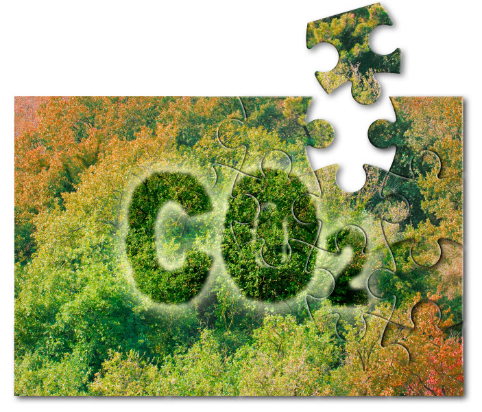 Planting more trees reduce the amount of CO2 - solution concept with CO2 text